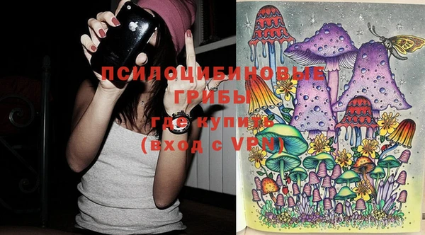 прущие крисы Кукмор